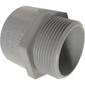 Cantex Adapter Pvc Terminl1-1/4 5140106C